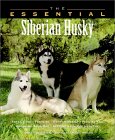 The Essential Siberian Husky