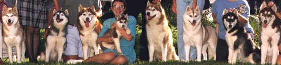 Five Generation image, taken on the grounds of the 1995 National Specialty in Ontario, California. This picture was taken so it could be used as the front page of the Siberian Quarterly summer 1996.
