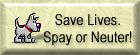 Save Lives.  Spay or Neuter!